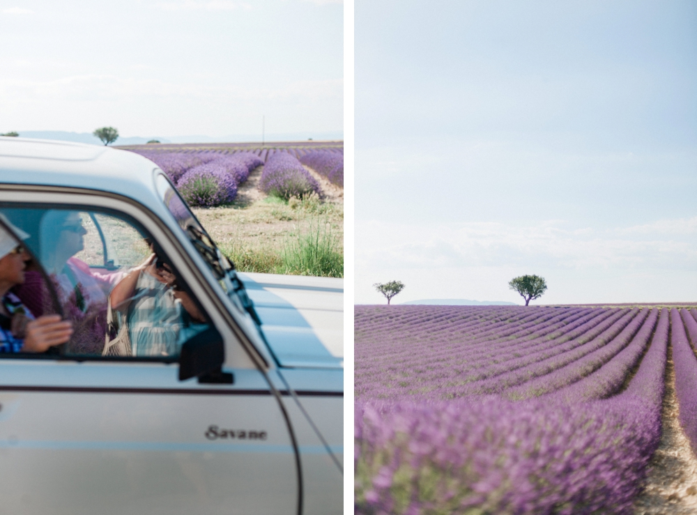 Where to see the Lavender Fields of Provence (and get great photos!)