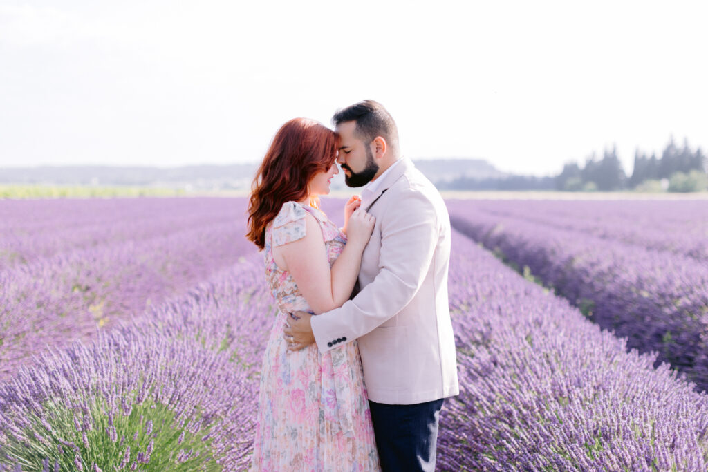 Provence Lavender Fields Photoshoot