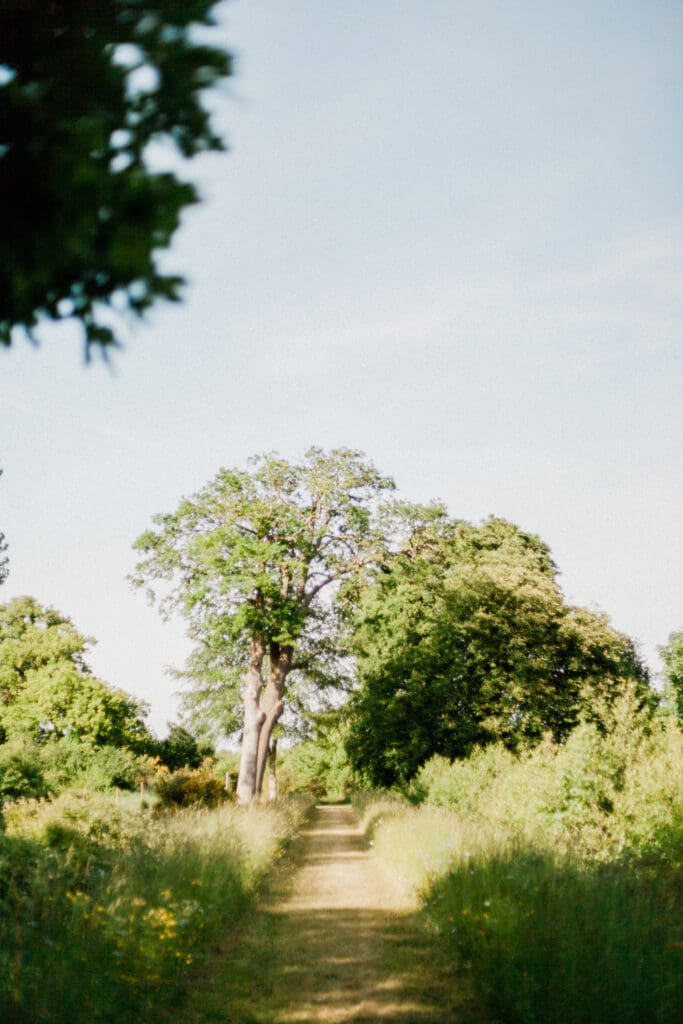 The grounds at Chateau de la Motte Husson