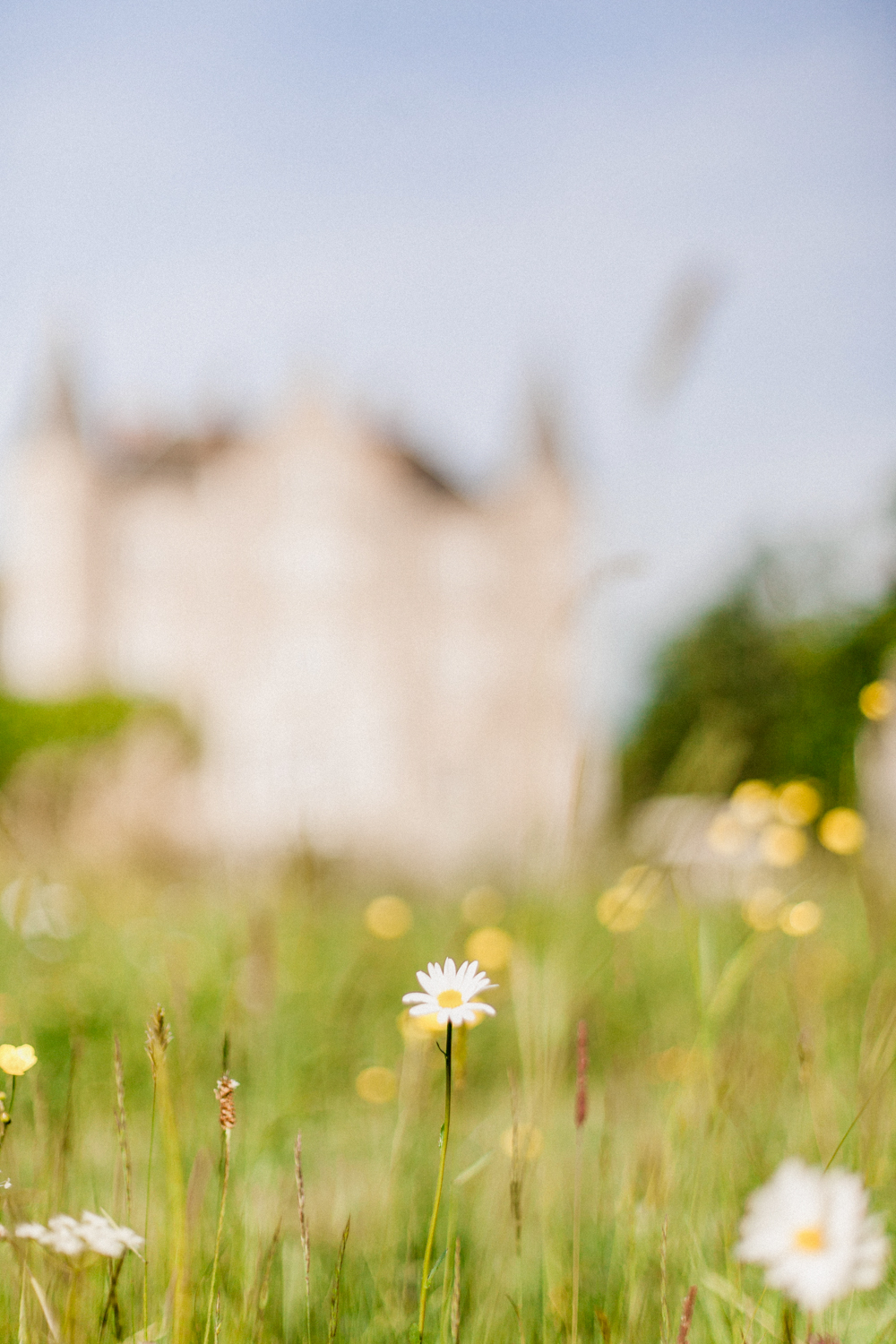 The Gardens at Chateau de la Motte Husson